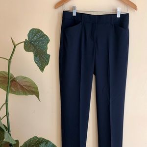 Theory Edition 2 Custom Max Pants